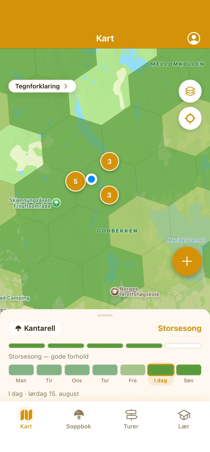 Kartet med soppindeks: sekskantceller farget etter sesongstadium over Nordmarka, og et panel som viser kantarell på stadiet Storsesong med stadiet for hver dag i uka