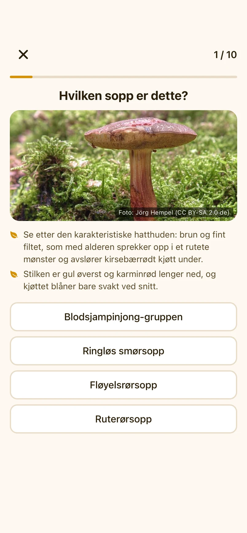 Soppquiz som spør hvilken sopp bildet viser, med et foto av en rørsopp i mose